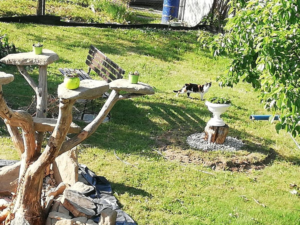 Apartmány MK Nové Hrady Kültér fotó